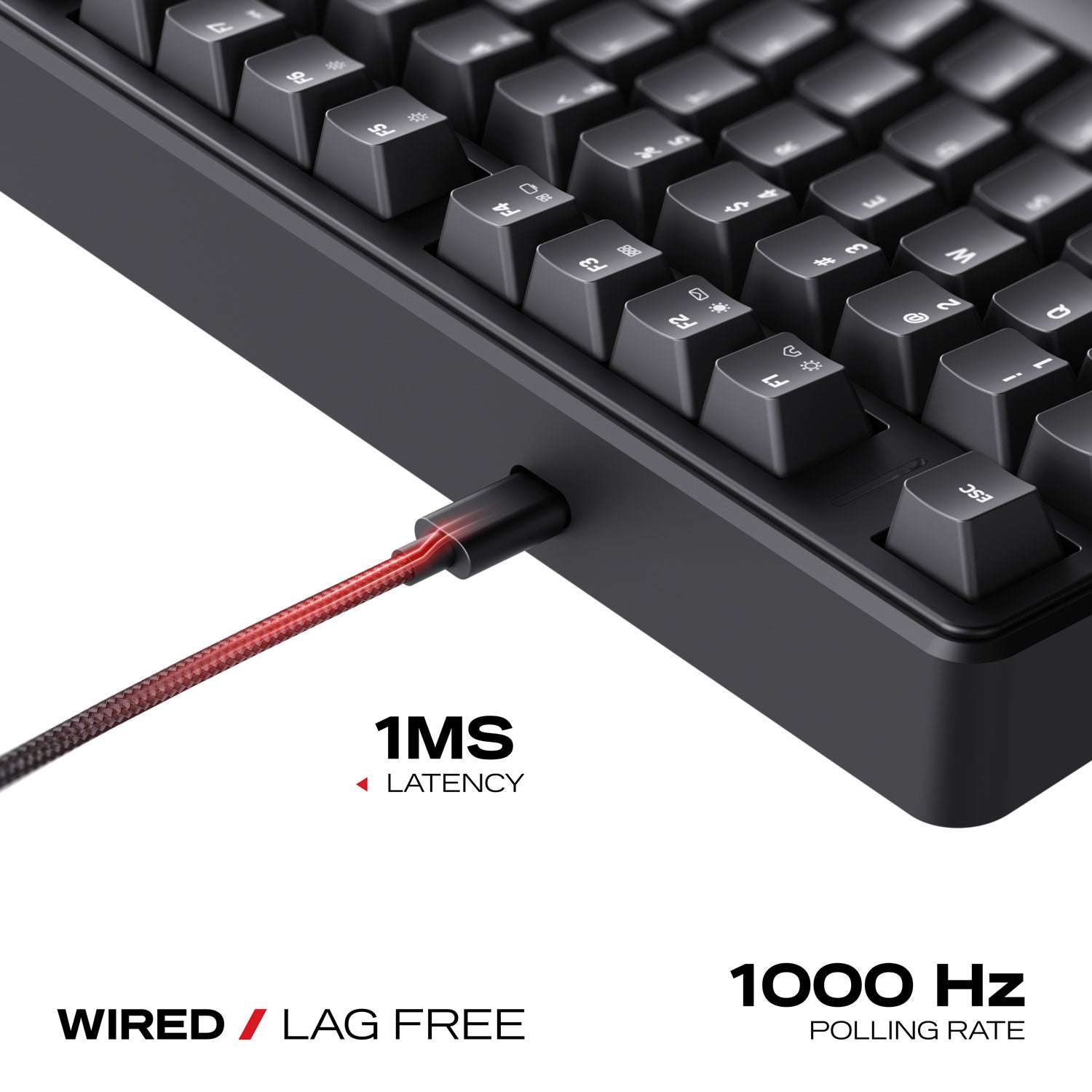 Akula 99 Lite | Compact Full-Size Wired Gaming Keyboard