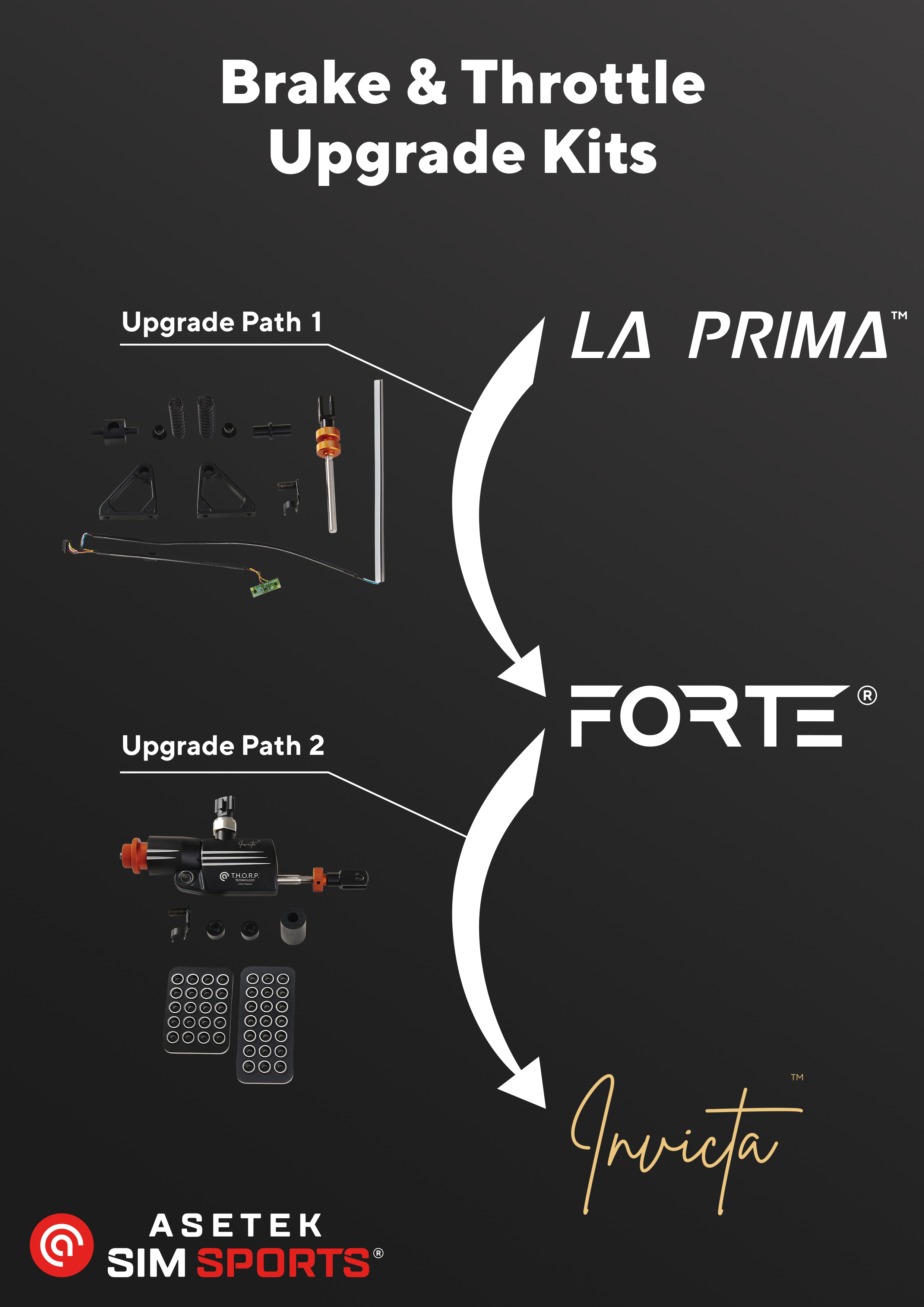 Asetek SimSports - Kit de mise à niveau Forte® vers Invicta™